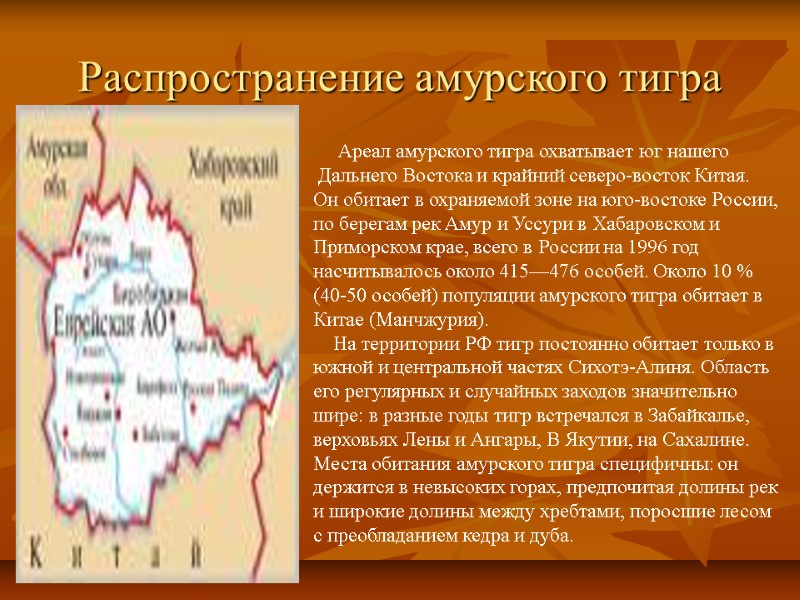 Распространение амурского тигра         Ареал амурского тигра